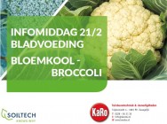 Nieuwsafbeelding
