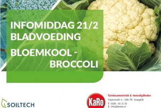 Infomiddag bladvoeding bloemkool-broccoli