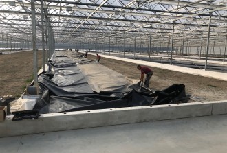 Waterbassin voor teelt in de kassen - B-four Hydrogrow