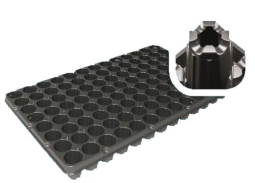 Teku tray BP3153/104T grau 66/doos