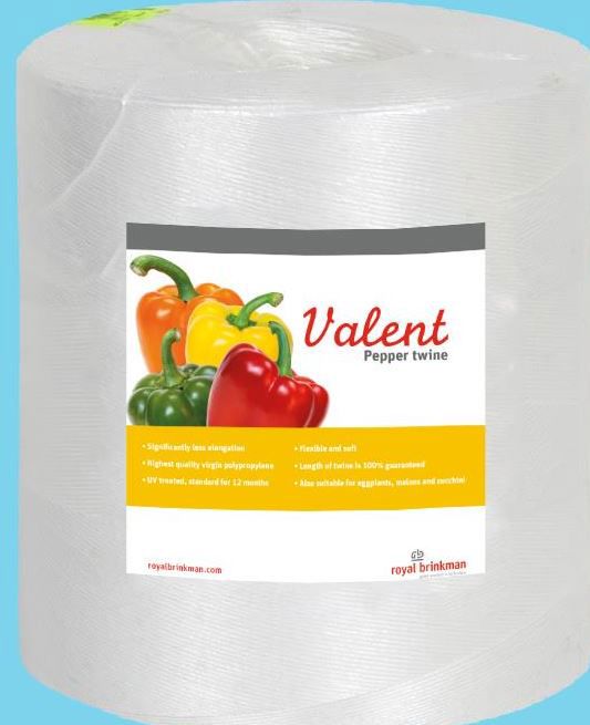 touw valent pepper twine  1/1500 wit 6kg