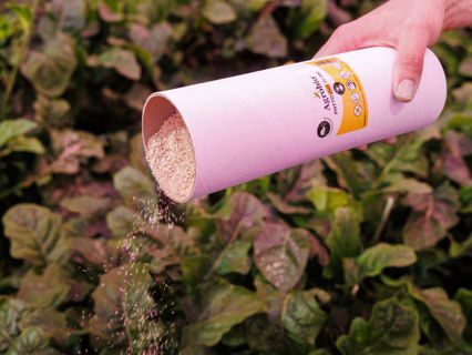 PHYTOcontrol Plus 25.000/koker AB1