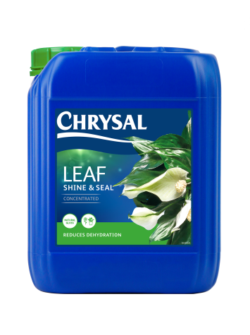 Chrysal leafshine and seal 5 liter