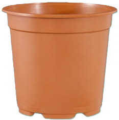 Teku pot MCH17 terra 231/doos