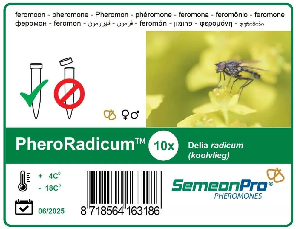 feromoon PheroRadicum (Koolvlieg) 10/pak