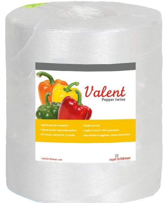 touw valent pepper twine  1/1500 wit 6kg