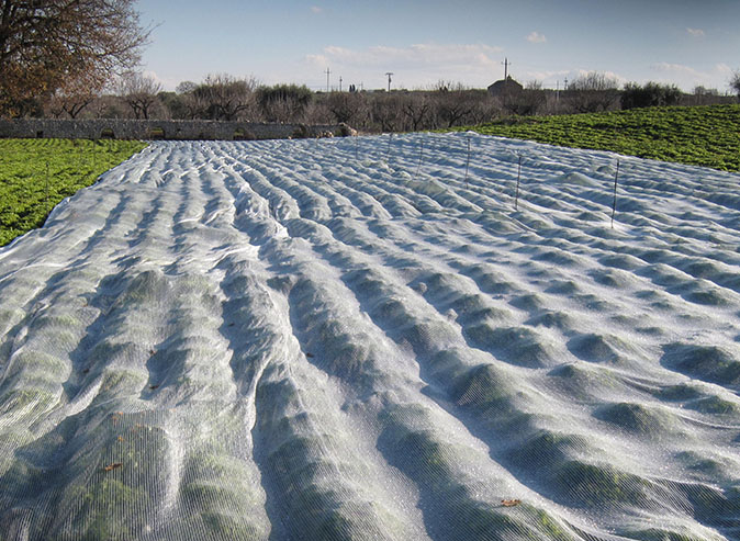 klimaatdoek Howicover 38g/m² 4x100m