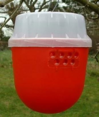 Drosophila suzukii deltaval droso-trap