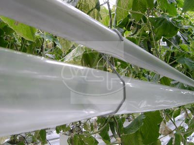 Co2 slang ldpe 65mm 80mu 50cm 500 meter