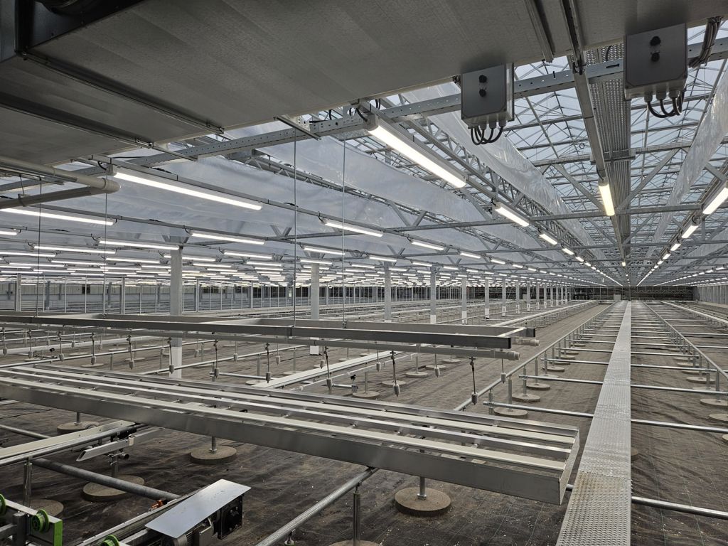 LED armatuur 65W 150cm V2