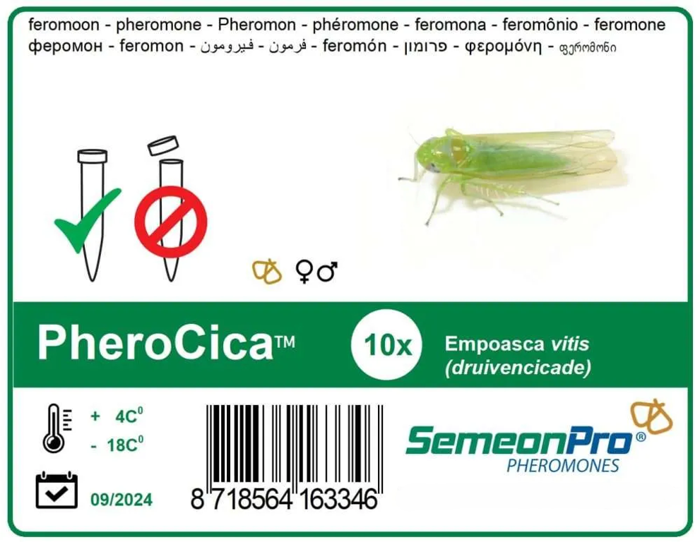 feromoon PheroCica (Cicade) 10/pak