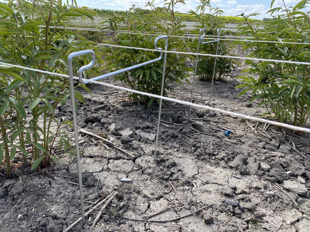 pioen-touw-steun 650x265x6mm 2e hands