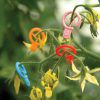 flowermarkers donkerpaars 1000/zak