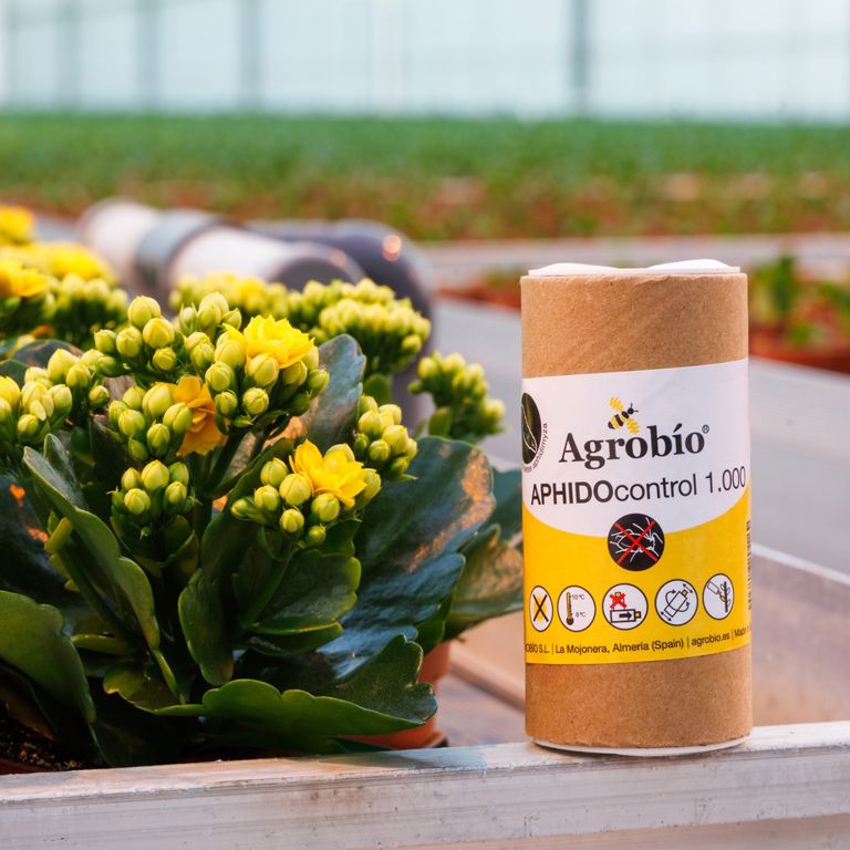 APHIDOcontrol 1.000/fles AB1