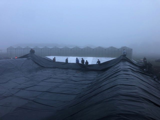 bassinfolie polyextra-s 0,6mm m²