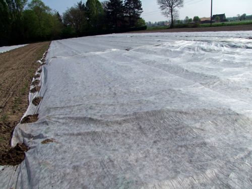 vliesdoek P17 510cm 100mtr/rol gevouwen