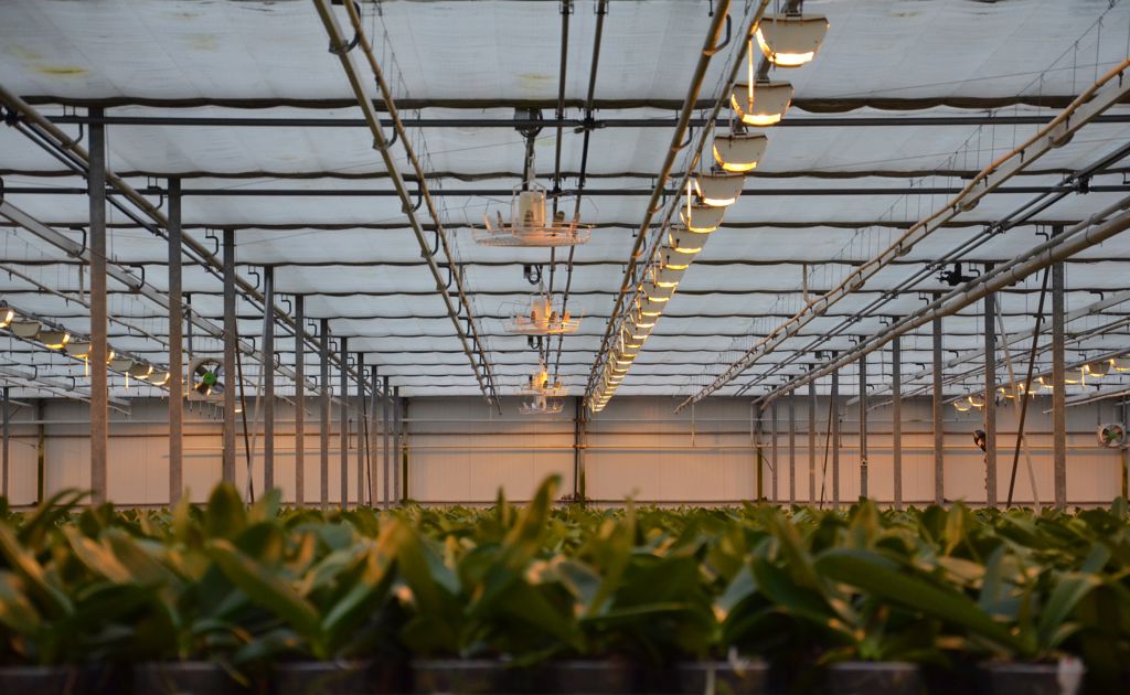 Nivolator tve-7, v-9 wit alu excl. korf