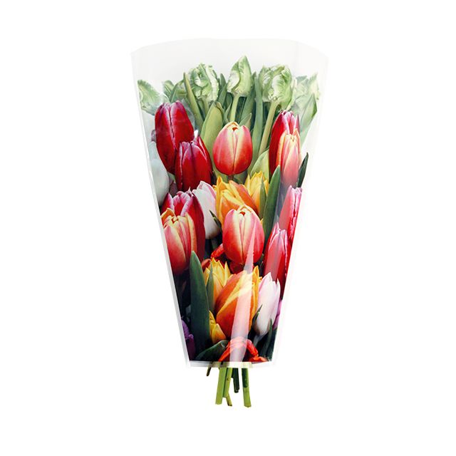 hoezen 38-30-12 opp35 tulipcolor 2500/ds