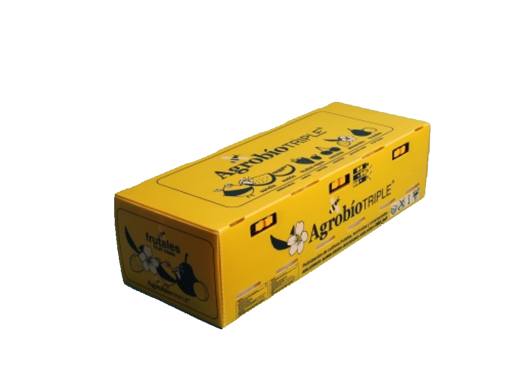 Hommelvolk buiten/iso triple AB