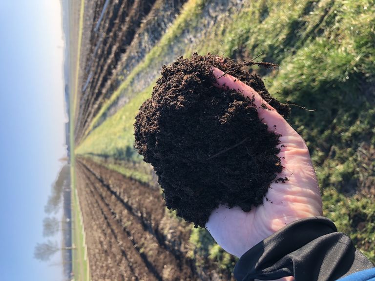 Vigro bosstrooisel (alleen mulchen)