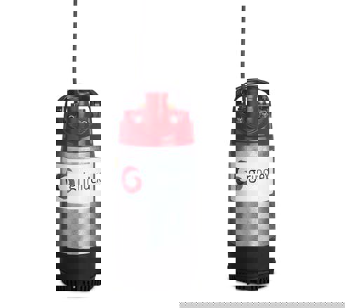 dompelpomp Grindex Mini G2 1,2kW 230V