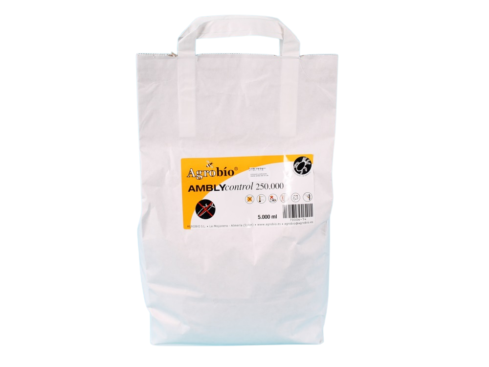 AMBLYcontrol 250.000/zak AB