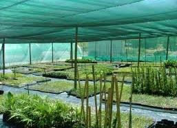 schermgaas tape Quadra 100MTE 1,5x50m