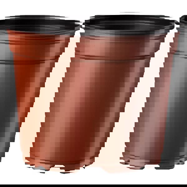 Desch pot 9cm 5gr terra Dtect 28.028/box