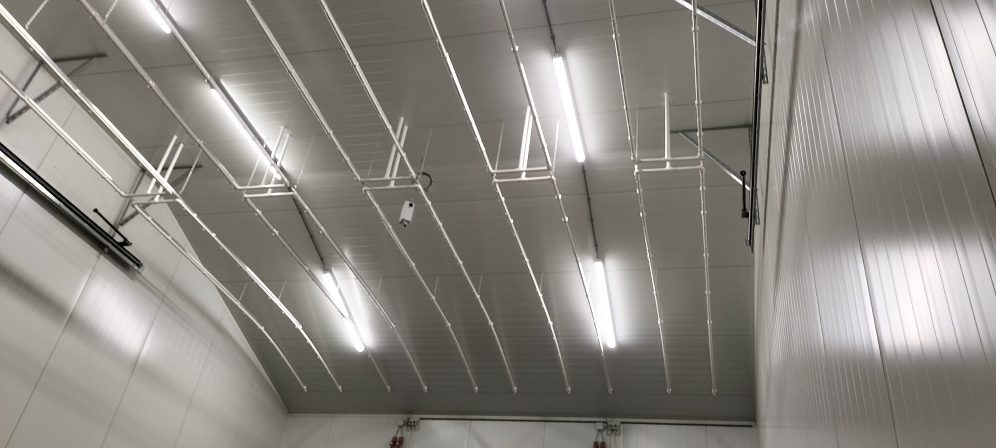 Duurzaam en Innovatief project bij DutchFlora — Optimalisatie van Water en Klimaat