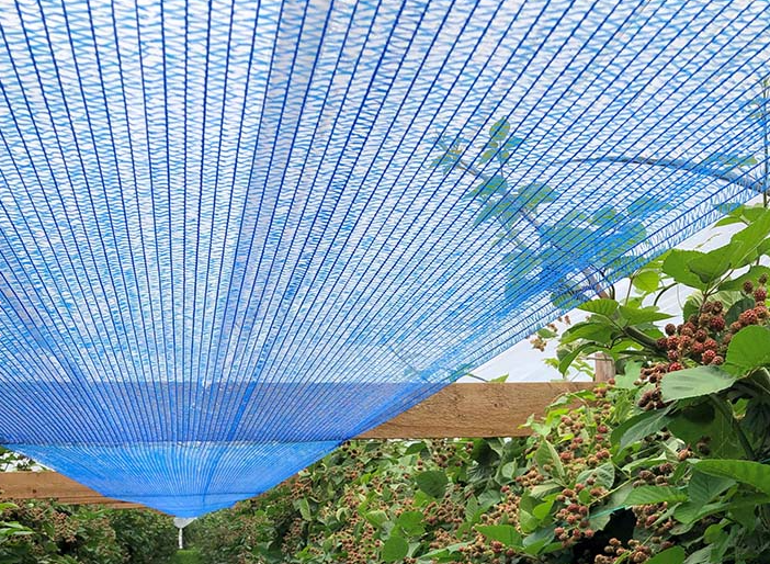 wespennet Vinea blauw 30 gram 0,9x250m