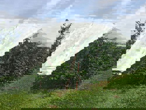 regenkappennet maas 0,03x0,99 3x100m