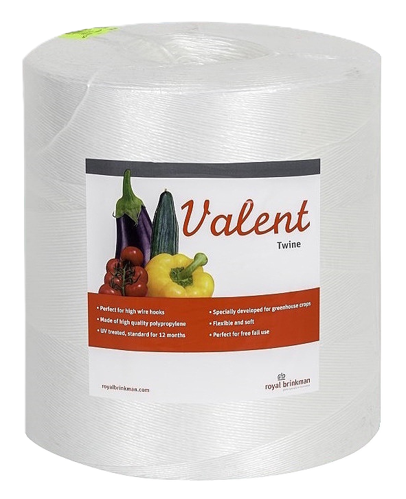 touw valent twine 1/1200 wit 6kg