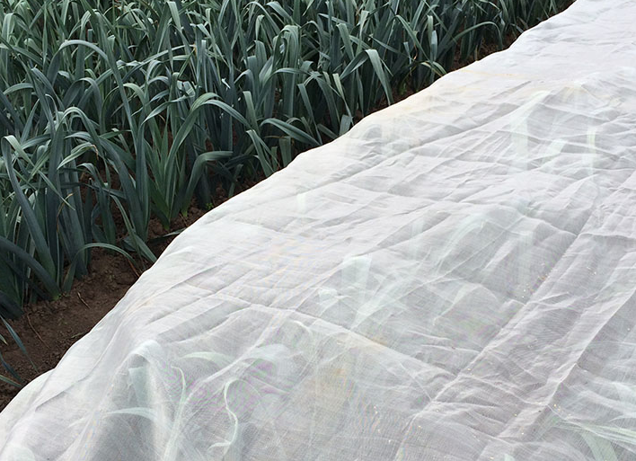 koolvlieggaas maas 1,35x1,35 2,00x100m