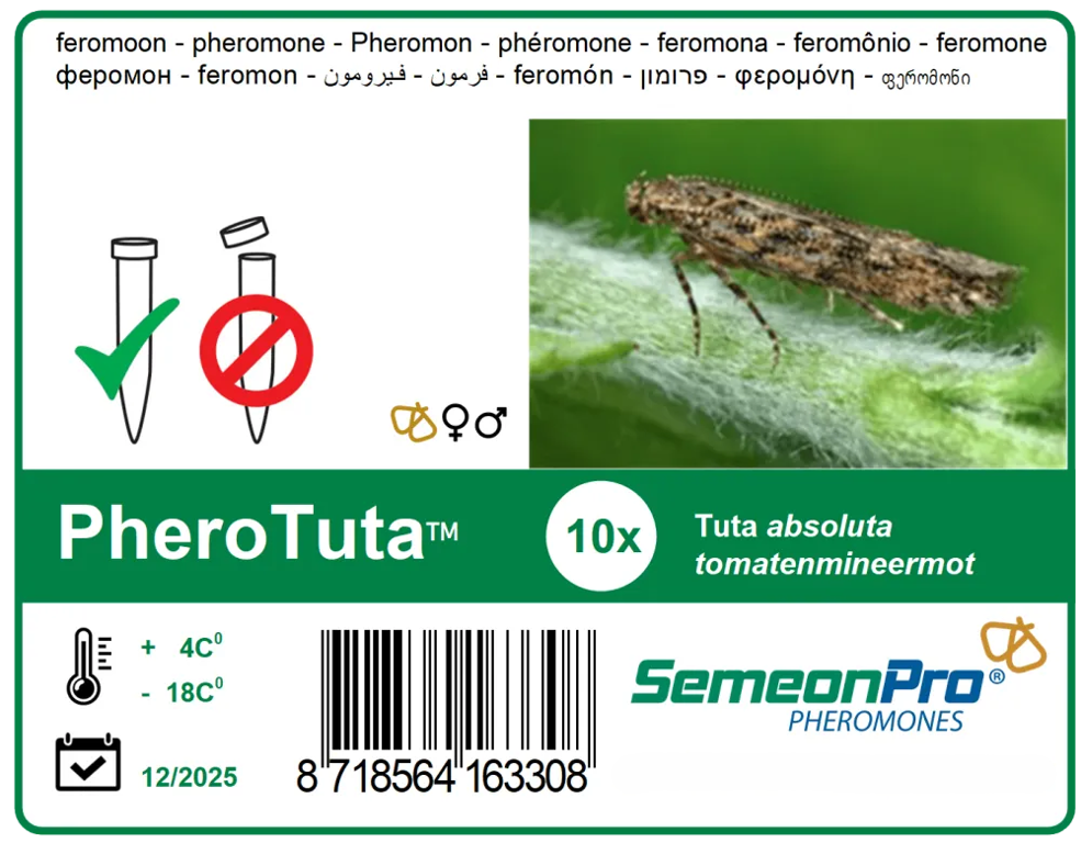 feromoon PheroTuta (Mineermot) 10/pak