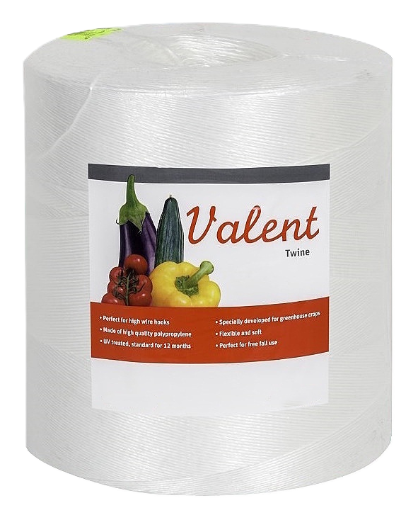 touw valent twine 1/1500 wit 6kg
