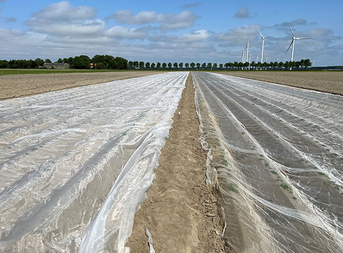 luizengaas maas 0,39x0,88 4x200m