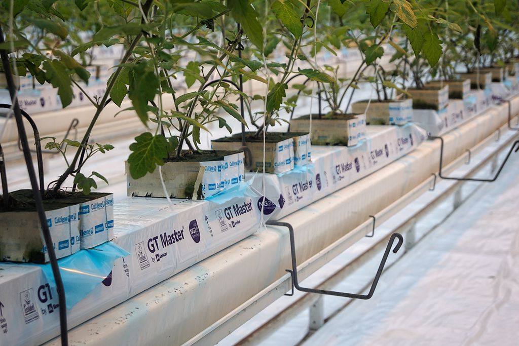 PE beheersvellen 20x20cm 2000/doos