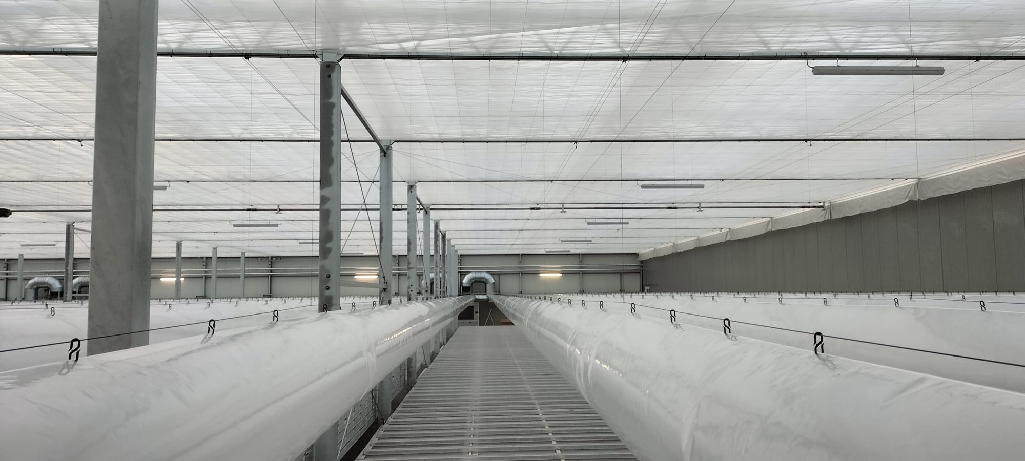 Duurzaam en Innovatief project bij DutchFlora — Optimalisatie van Water en Klimaat