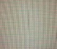 koolvlieggaas maas 1,35x1,35 3,66x100m