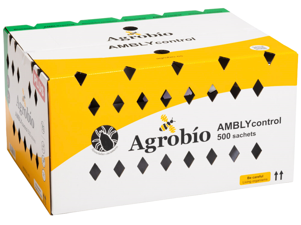 AMBLYcontrol 500 haakzakjes AB