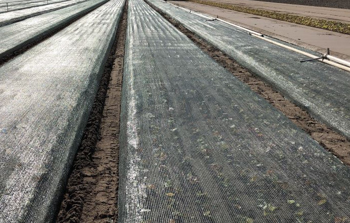 zaaibeddennet 30t groen 8x100m