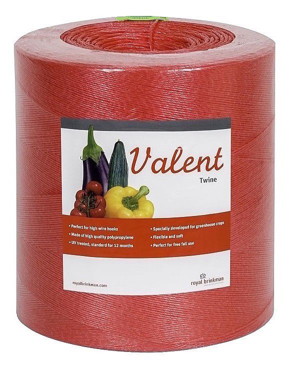 touw valent twine 1/1000 rood 6kg