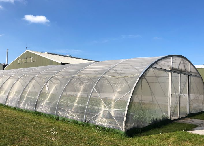 luizengaas maas 0,39x0,88 3,2x200m