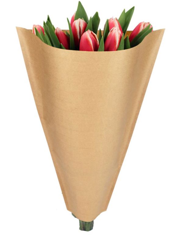 hoezen 40-30-12 bruin/kraft OPP30 1200ds