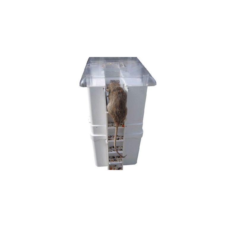 EKO1000 vloeistof/olie 5 liter