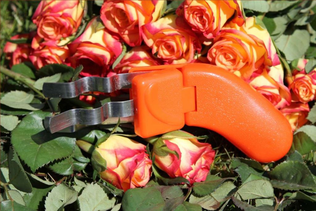 rozenontdoorner 180mm rood