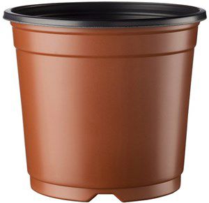 Desch pot 15cm 5° terracotta 6916/box