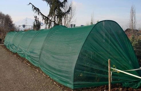 schermgaas tape Quadra 135MTE 1,5x50m