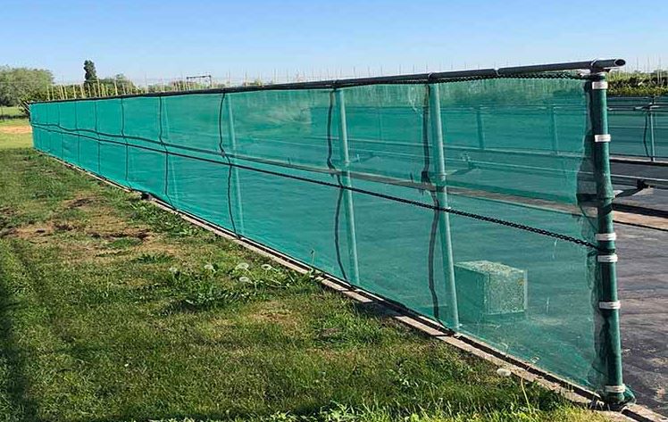 windbreekgaas Quadra 105ME 6x100m groen