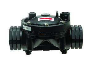 Dorot-75-basic 2"